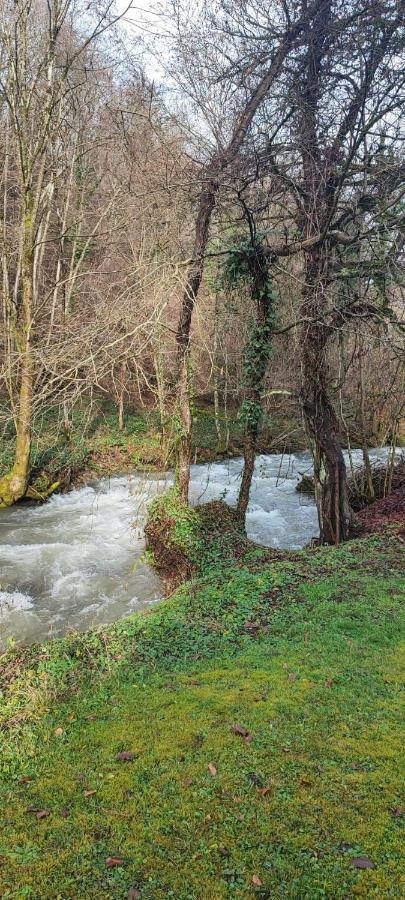 Le Clos Du Tulipier La Chapelle-du-Bard Dış mekan fotoğraf